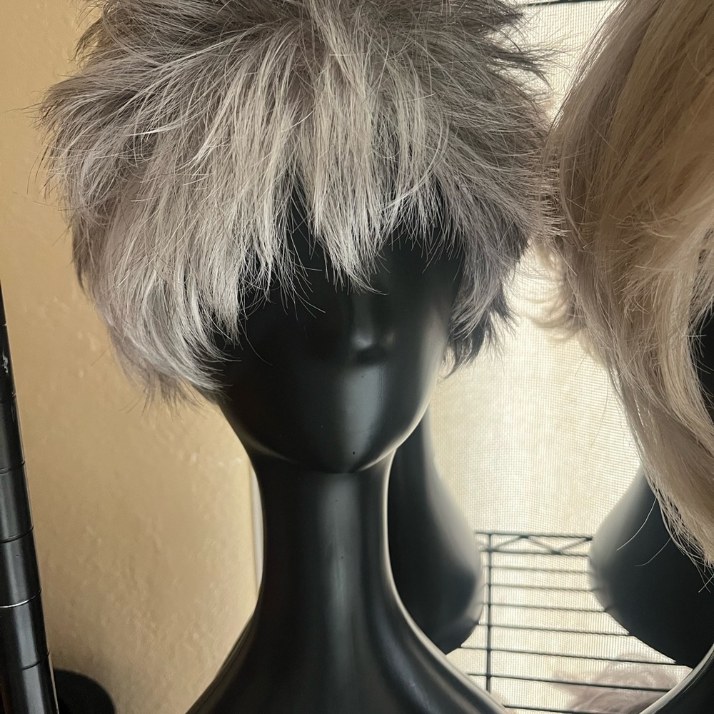 2/7/26 🚨UPDATE ‼️Wig collection. 
SALT AND PEPPER. 
BLONDE. - Picture 7 of 7